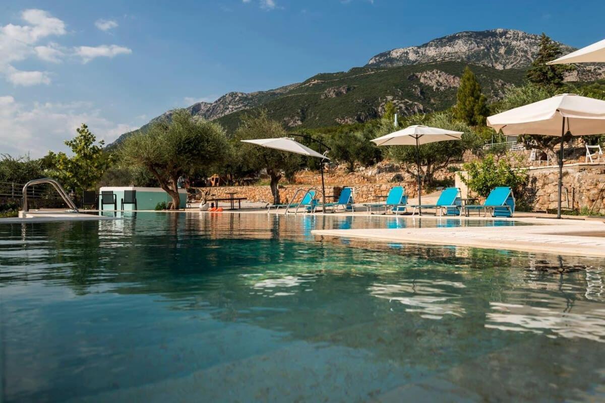 Villa Needa'S - Emotions House Crystal Pool Mikrá Mandínia المظهر الخارجي الصورة